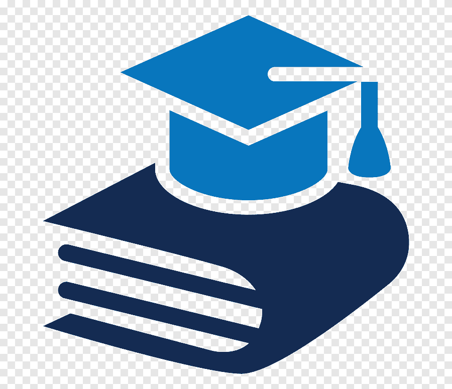 Amity University (Online)